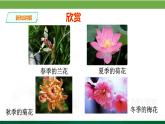 二年級下冊美術(shù)課件-2.5美麗的花園丨嶺南版(共18張PPT)