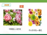 二年級下冊美術(shù)課件-2.5美麗的花園丨嶺南版(共18張PPT)