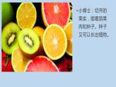 二年級下冊美術(shù)課件-3.7切開的果實(shí)丨嶺南版(共19張PPT)