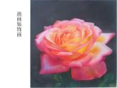 人美版美术六年级下册《装饰画》教学课件