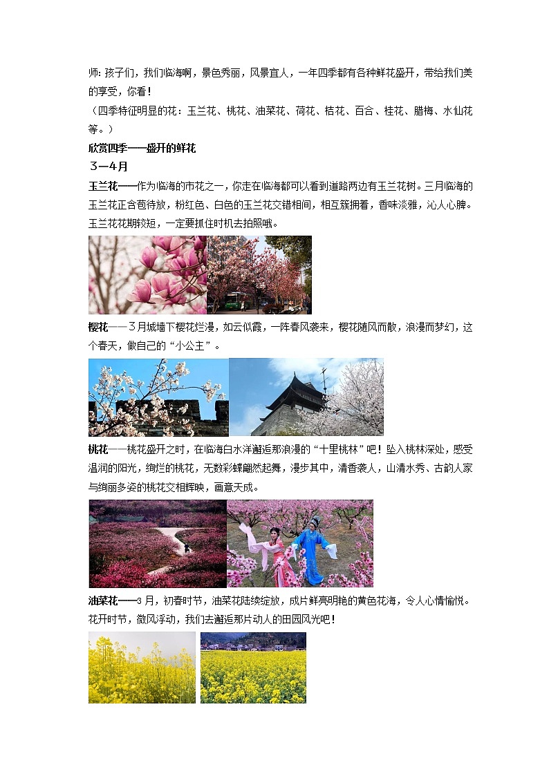 二年级下册美术教案-第2课 盛开的鲜花丨浙美版03