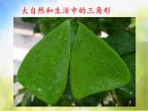 小學(xué) / 美術(shù) / 蘇少版 / 一年級(jí)上冊(cè) / 6 找找三角形課件-(5)