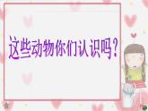 小學(xué) / 美術(shù) / 蘇少版 / 三年級上冊 / 9 動物明星（一）課件-(1)