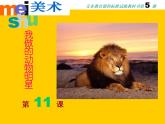 小學(xué) / 美術(shù) / 蘇少版 / 三年級上冊 / 9 動物明星（一）課件-(2)