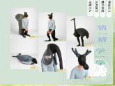 小學(xué) / 美術(shù) / 蘇少版 / 三年級上冊 / 9 動物明星（一）課件-(2)