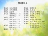 小學(xué) / 美術(shù) / 蘇少版 / 二年級(jí)下冊(cè) / 9 樹(shù)上樹(shù)下（一）課件