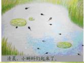 小學(xué) / 美術(shù) / 湘美版 / 二年級(jí)上冊(cè) / 第10課 小蝌蚪課件-(1)