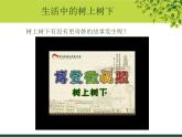 小学 / 美术 / 苏少版 / 二年级下册 / 10 树上树下（二）课件-(2)