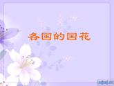 小學(xué) / 美術(shù) / 蘇少版 / 二年級(jí)下冊 / 13 會(huì)變的花、樹、葉課件-(1)