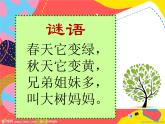小學(xué) / 美術(shù) / 蘇少版 / 二年級(jí)下冊 / 13 會(huì)變的花、樹、葉課件-(2)