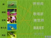 小學(xué) / 美術(shù) / 蘇少版 / 二年級下冊 / 14 蟲蟲蟲（一）課件
