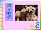 小學(xué) / 美術(shù) / 蘇少版 / 三年級(jí)上冊(cè) / 14 親昵課件-(3)