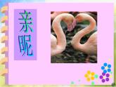 小學(xué) / 美術(shù) / 蘇少版 / 三年級(jí)上冊(cè) / 14 親昵課件-(3)