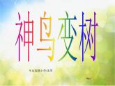 小学 / 美术 / 湘美版 / 二年级上册 / 第15课 神鸟变树课件-(5)