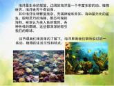 小學(xué)美術(shù)《第6課海洋世界》PPT課件
