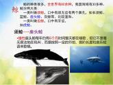 小學(xué)美術(shù)《第6課海洋世界》PPT課件