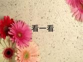 小学美术《第7课窗口》PPT课件-(3)