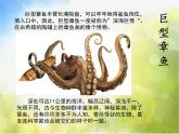 小學(xué)美術(shù)《第7課海洋怪獸》PPT課件