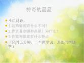 小学美术《第8课星光灿烂》PPT课件-(5)