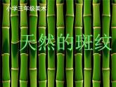 小學(xué)美術(shù)《第9課天然的紋理》PPT課件-(1)