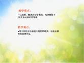 小学美术《第9课天然的纹理》PPT课件-(3)