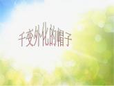 小学美术《第9课天然的纹理》PPT课件-(3)