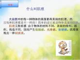 小学美术《第9课天然的纹理》PPT课件-(3)