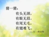 小學(xué)美術(shù)《第9課用彩墨畫(huà)魚(yú)》PPT課件-(1)