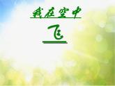 小學(xué)美術(shù)《第9課我在空中飛》PPT課件-(4)ppt課件