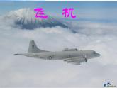 小學(xué)美術(shù)《第9課我在空中飛》PPT課件-(4)ppt課件
