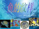 小學(xué)美術(shù)《第9課魚(yú)的紋樣》PPT課件-(2)