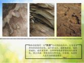 小學(xué)美術(shù)《第10課-巧用肌理》PPT課件-(2)