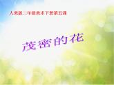 小學(xué) / 美術(shù) / 人美版 / 二年級上冊 / 14. 茂密的花課件-(1)
