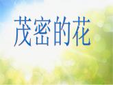 小學(xué) / 美術(shù) / 人美版 / 二年級上冊 / 14. 茂密的花課件-(3)