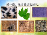 小學(xué)美術(shù)《第10課-巧用肌理》PPT課件-(4)