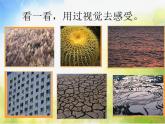 小學(xué)美術(shù)《第10課-巧用肌理》PPT課件-(4)