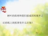 小學(xué)美術(shù)《第10課-巧用肌理》PPT課件-(3)