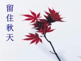 小學(xué)美術(shù)《第11課留住秋天》PPT課件-(1)