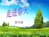 小學(xué)美術(shù)《第11課走進(jìn)春天》PPT課件