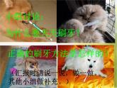 小學 / 美術 / 人美版 / 二年級上冊 / 13. 刷牙課件-(2)
