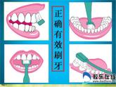 小學 / 美術 / 人美版 / 二年級上冊 / 13. 刷牙課件-(2)
