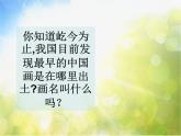 小学 / 美术 / 人教版 / 六年级上册 / 第15课 中国画与油画欣赏课件-(3)