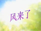 小学 / 美术 / 人教版 / 二年级上册 / 第16课 风来了课件-(5)