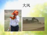 小学 / 美术 / 人教版 / 二年级上册 / 第16课 风来了课件-(5)
