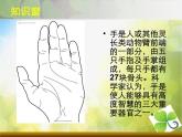 小学 / 美术 / 苏少版 / 四年级上册 / 16 会说话的手（一）课件-(1)
