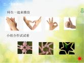 小学 / 美术 / 苏少版 / 四年级上册 / 16 会说话的手（一）课件-(2)
