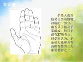 小學(xué) / 美術(shù) / 蘇少版 / 四年級上冊 / 17 會說話的手（二）課件-(2)