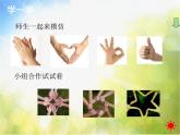 小學(xué) / 美術(shù) / 蘇少版 / 四年級上冊 / 17 會說話的手（二）課件-(2)