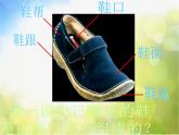 小學(xué) / 美術(shù) / 人美版 / 三年級(jí)上冊(cè) / 18. 各種各樣的鞋課件-(3)