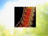 小學(xué) / 美術(shù) / 人美版 / 三年級(jí)上冊(cè) / 18. 各種各樣的鞋課件-(4)